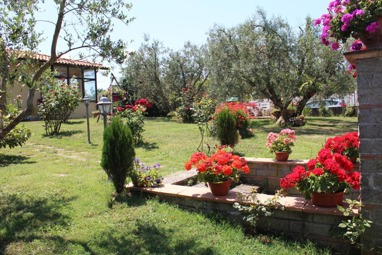 Bed & Breakfast L'amicizia Montefiascone